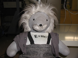 [Einstein bear with E=mc^2]