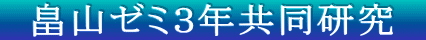 畠山ゼミ3年共同研究