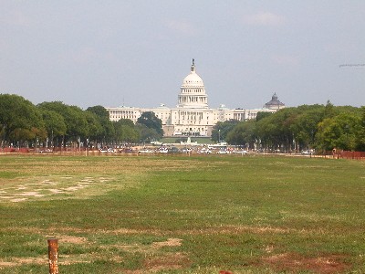 ���V���g��