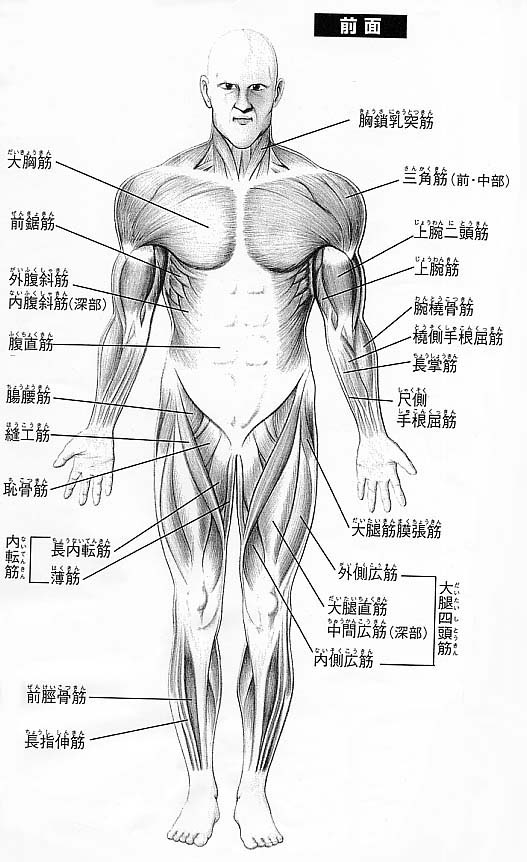 図説筋の機能解剖 図説筋の機能解剖 | ジョン H.ウォーフィル, 盛岡 通, 小川 恵子
