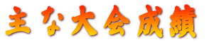 主な大会成績