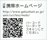 携帯ホームページ