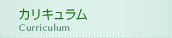 カリキュラム