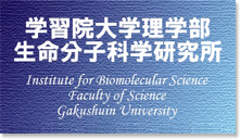 学習院大学理学部 生命分子科学研究所