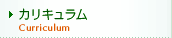 カリキュラム