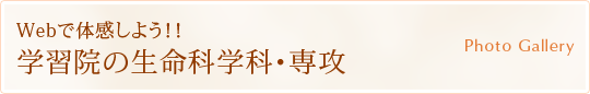 Webő̊悤II wK@̐ȊwȁEU