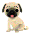 まる子