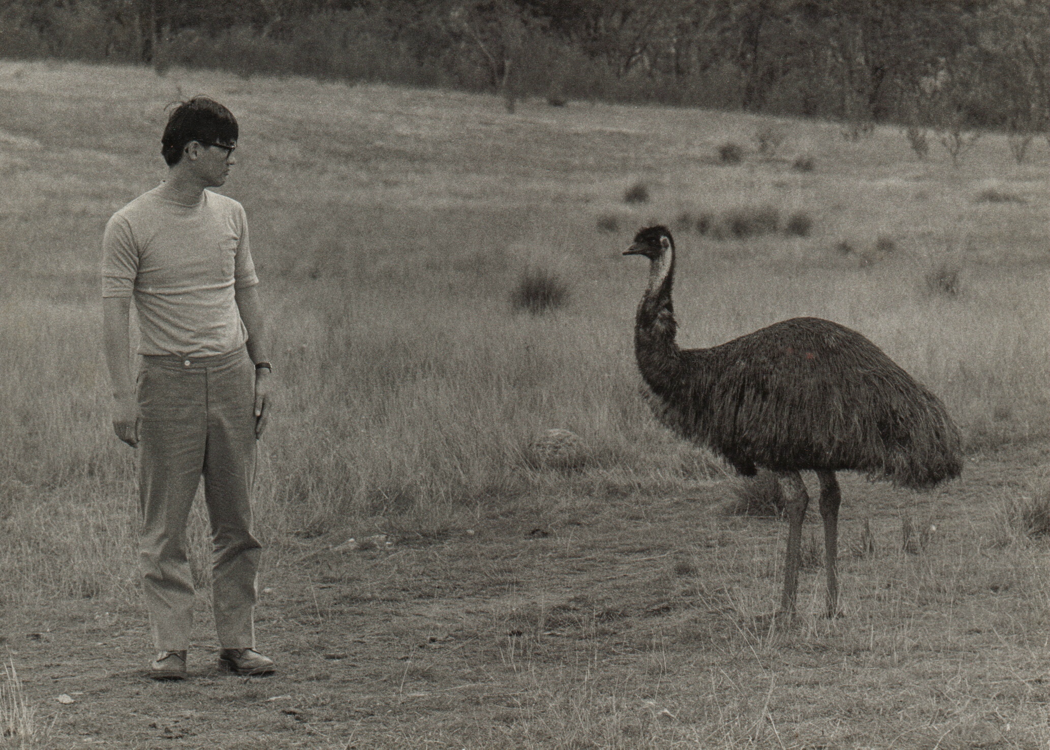 �L�����x�� 1975 �N