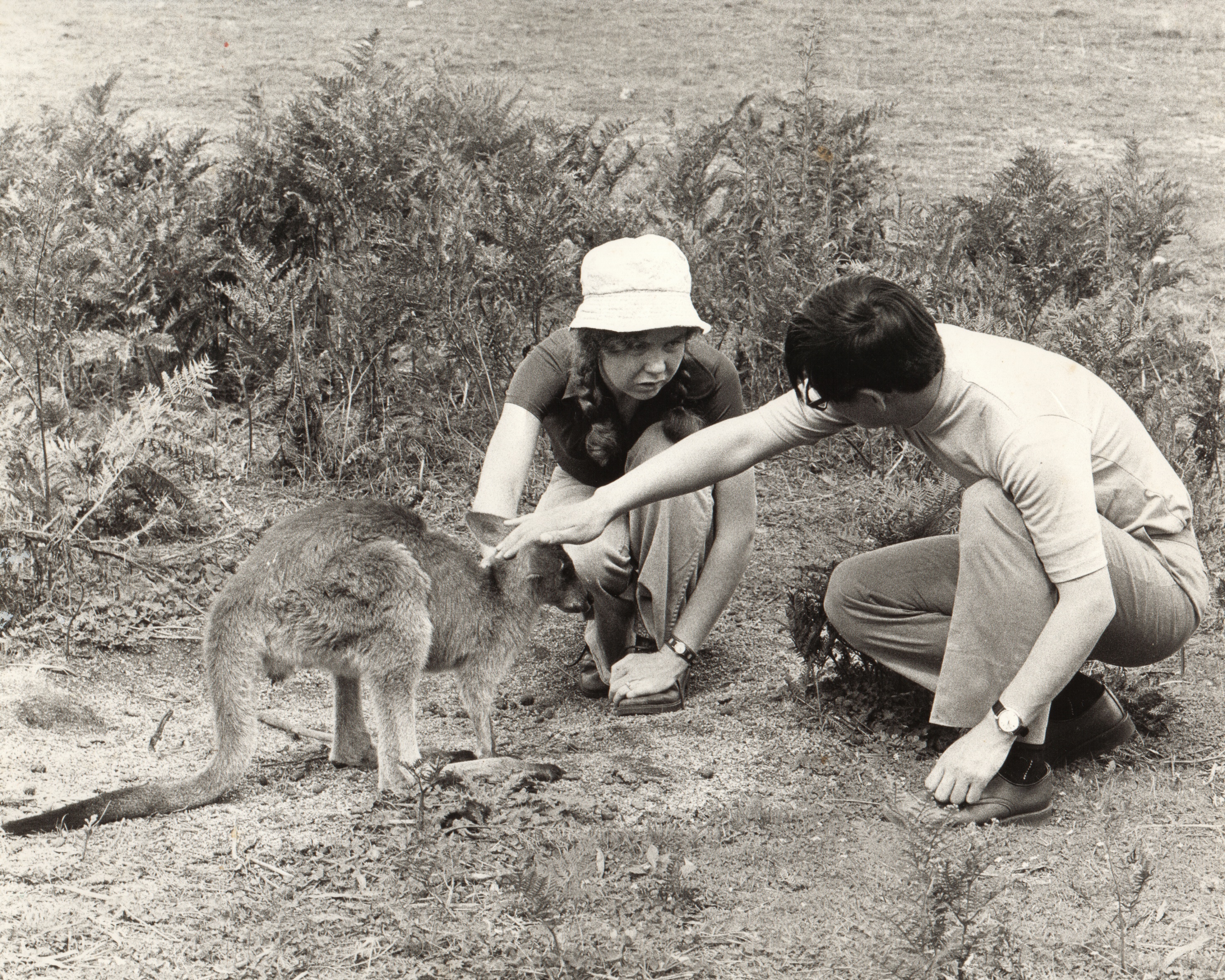 �L�����x�� 1975 �N