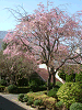 photo001_s.gif
