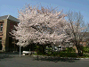 photo003_s.gif