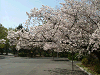 photo005_s.gif