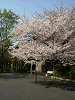 photo008_s.gif