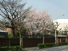 photo011_s.gif