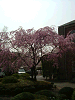 photo013_s.gif
