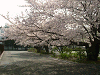 photo015_s.gif