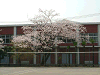photo020_s.gif