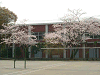 photo021_s.gif