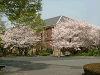 photo022_s.gif