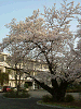 photo023_s.gif