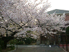 photo025_s.gif