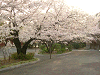 photo027_s.gif