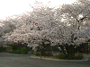 photo030_s.gif