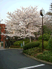 photo032_s.gif