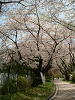 photo035_s.gif