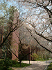 photo038_s.gif