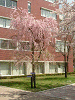 photo042_s.gif
