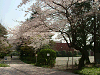 photo043_s.gif