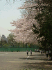 photo046_s.gif