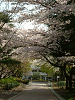 photo048_s.gif