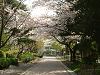 photo049_s.gif