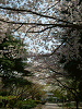 photo051_s.gif