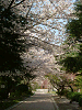 photo052_s.gif