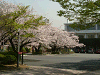 photo053_s.gif