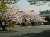 photo054_s.gif