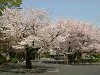 photo056_s.gif
