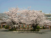 photo060_s.gif