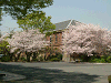 photo062_s.gif