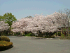 photo065_s.gif