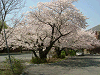 photo067_s.gif