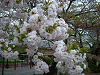 photo084_s.gif