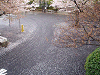 photo086_s.gif