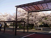 photo087_s.gif