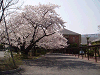 photo088_s.gif