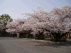 photo089_s.gif