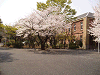 photo090_s.gif